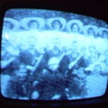 2006 01 10 12 39 50