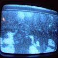 2006 01 10 12 40 30