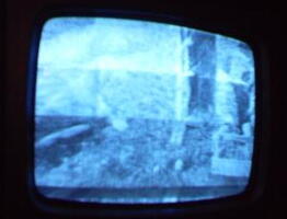 2006 01 10 12 52 30