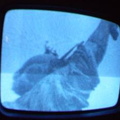 2006 01 10 12 54 00