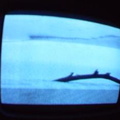2006 01 10 13 00 40