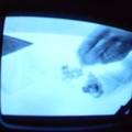 2006 01 10 13 08 01