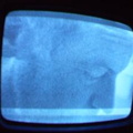 2006 01 10 13 09 31