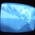 2006 01 10 13 10 21