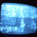2006 01 10 13 11 11