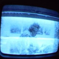 2006 01 10 13 12 42