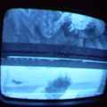 2006 01 10 13 13 01