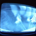 2006 01 10 13 13 32
