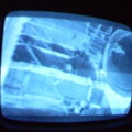2006 01 10 13 15 12