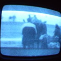 2006 01 10 13 16 43