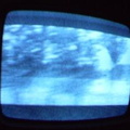 2006 01 10 13 17 53