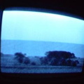 2006 01 10 13 18 03