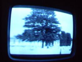 2006 01 10 13 19 23
