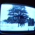 2006 01 10 13 19 23