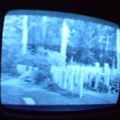 2006 01 10 13 20 33