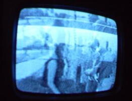2006 01 10 13 21 33