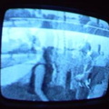 2006 01 10 13 21 33