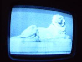 2006 01 10 13 21 44