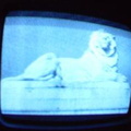 2006 01 10 13 21 44