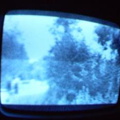 2006 01 10 13 39 05