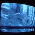 2006 01 10 13 47 36