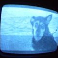 2006 01 10 13 49 36