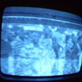 2006 01 10 13 50 06