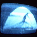 2006 01 10 13 54 56