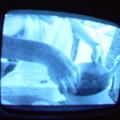 2006 01 10 13 55 36