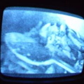 2006 01 10 13 56 46