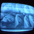 2006 01 10 14 03 16