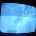 2006 01 10 14 08 26