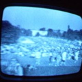 2006 01 10 14 08 46