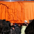 Christo: The Gates. February 23, 2005