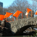 Christo: The Gates. February 23, 2005