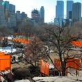 Christo: The Gates. February 23, 2005