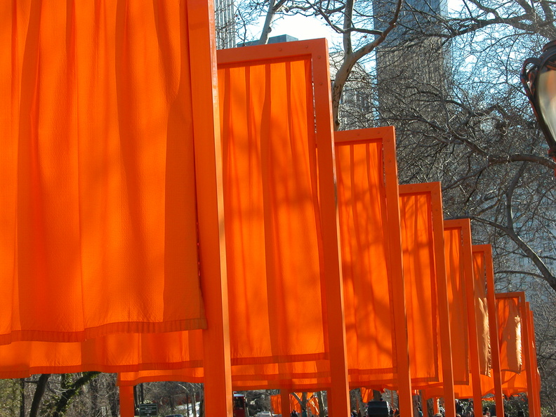 Christo: The Gates. February 23, 2005