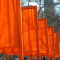 Christo: The Gates. February 23, 2005