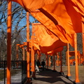 Christo: The Gates. February 23, 2005