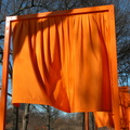 Christo: The Gates. February 23, 2005