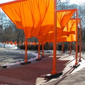 Christo: The Gates. February 23, 2005