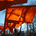 Christo: The Gates. February 23, 2005