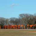 Christo: The Gates. February 23, 2005