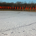 Christo: The Gates. February 23, 2005