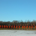 Christo: The Gates. February 23, 2005