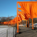 Christo: The Gates. February 23, 2005