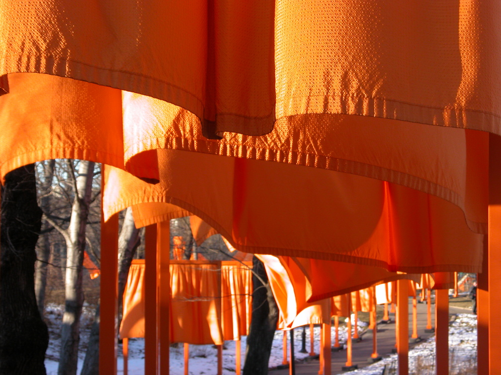 Christo: The Gates. February 23, 2005