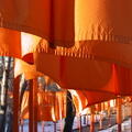 Christo: The Gates. February 23, 2005