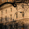 Christo: The Gates. February 23, 2005