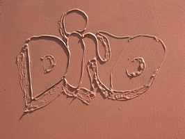 DSCN4513